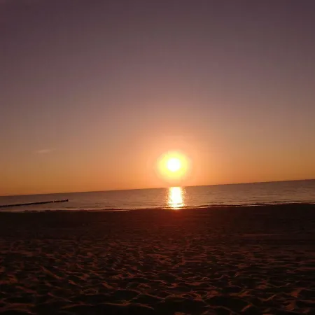 Strandmuschel * زنغست